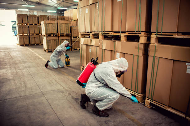 Best Mosquito Control Services  in Quartzsite, AZ