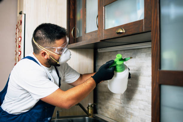 Best Rat Extermination Near Me  in Quartzsite, AZ