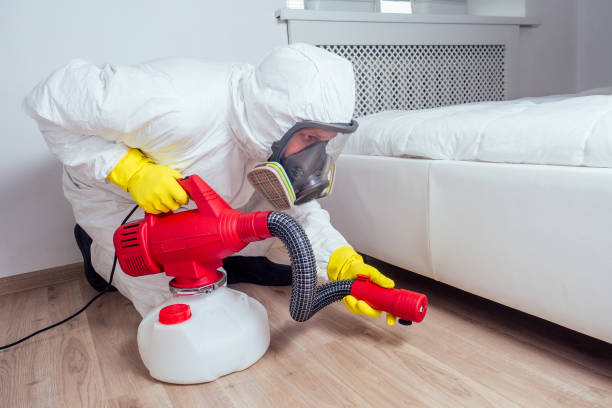 Best Flea Control Services  in Quartzsite, AZ